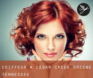 coiffeur à Cedar Creek (Greene, Tennessee)