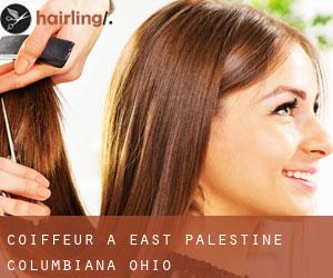 coiffeur à East Palestine (Columbiana, Ohio)
