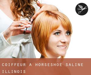 coiffeur à Horseshoe (Saline, Illinois)