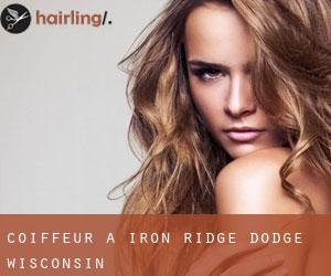 coiffeur à Iron Ridge (Dodge, Wisconsin)
