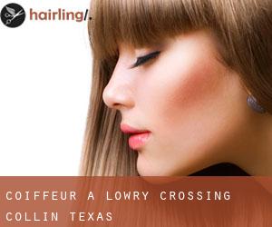 coiffeur à Lowry Crossing (Collin, Texas)