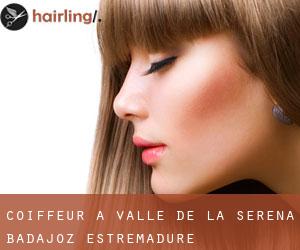 coiffeur à Valle de la Serena (Badajoz, Estrémadure)